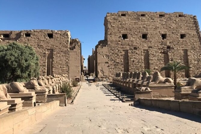 Luxor private excursion from Hurghada Makadi Bay Soma Bay Sahl Hasheesh Elgouna - Timing, comfort, and the long road back