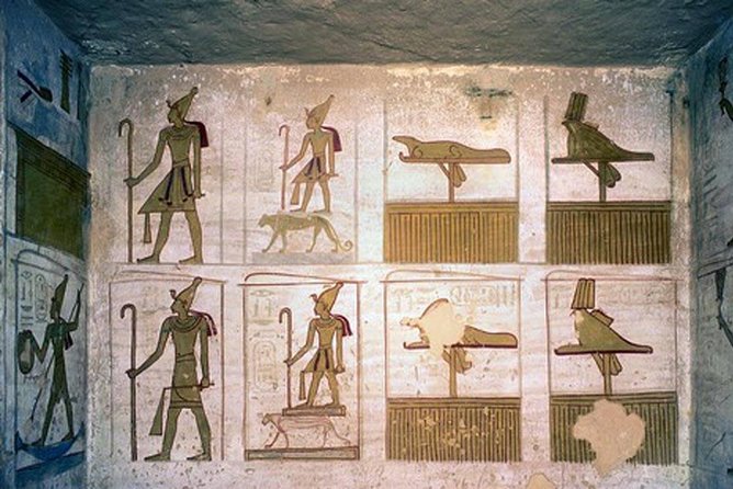 Luxor Private Tour: West Bank - Valley of Kings, Hatshepsuit & Colossi of Memnon - What the private vehicle and guide add
