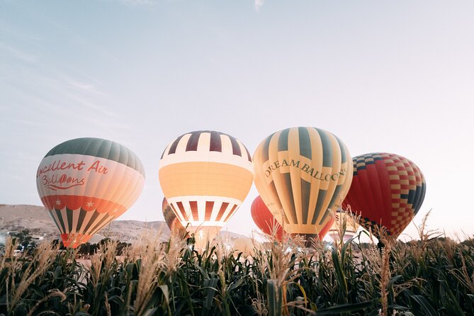 Luxury Balloon Ride in Luxor with Hotels Pickup - The biggest issue: communication and dependability