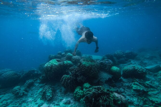 Luxury Cruise inc. Snorkeling/Massage/Island/water sport & Lunch - Orange Bay Is the Photogenic First Stop