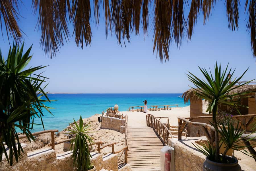Mahmya Island: Red Sea Sailing Experience - Should you book Mahmya Island?