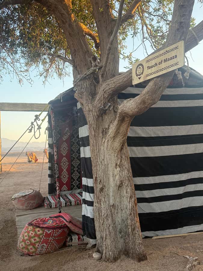 Makadi Bay: BADU Luxury Bedouin Dinner Experience & Stargaze - The 30-minute transfer from your hotel