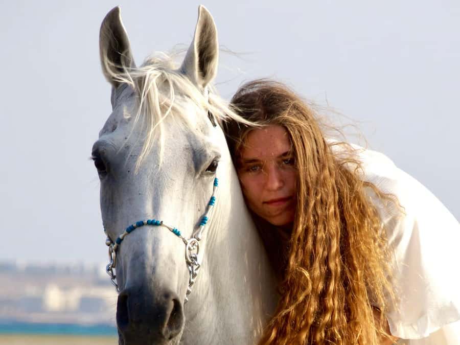 Makadi Bay: Horse Riding in Desert & Sea w Guide + Transfers - Key points at a glance