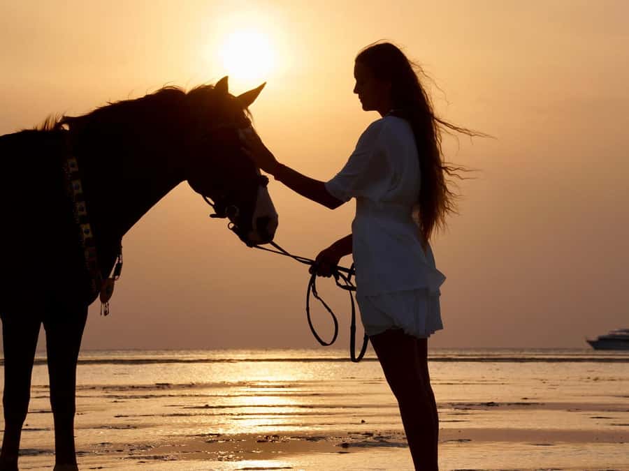 Makadi Bay: Horse Riding in Desert & Sea w Guide + Transfers - From Hurghada to Makadi Bay by hotel transfer