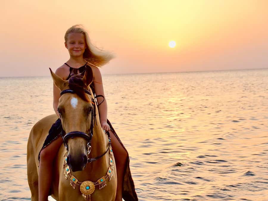 Makadi Bay: Horse Riding in Desert & Sea w Guide + Transfers - Two hours across Makadi Bay’s desert