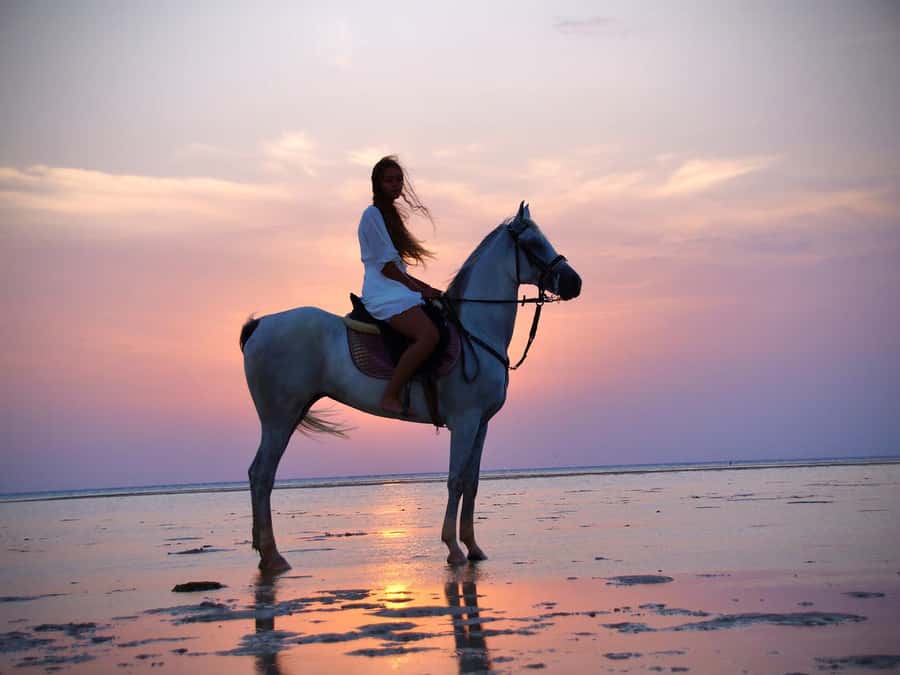 Makadi Bay: Horse Riding in Desert & Sea w Guide + Transfers - Riding beside the Red Sea