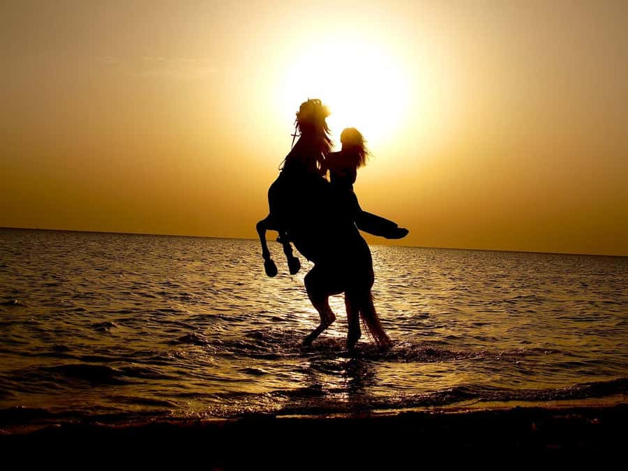 Makadi Bay: Horse Riding in Desert & Sea w Guide + Transfers - The guide makes or breaks the experience