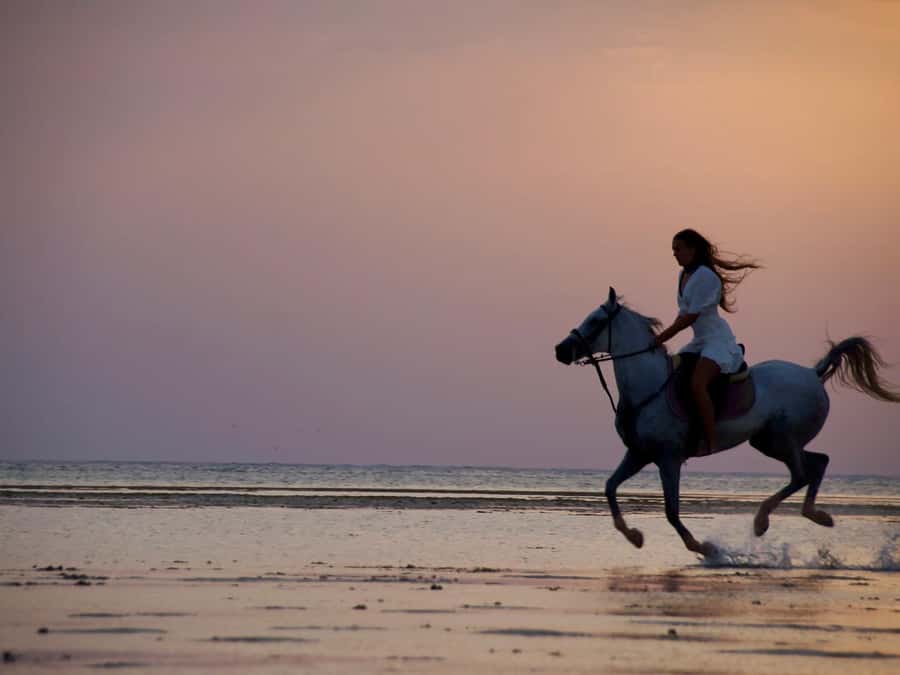 Makadi Bay: Horse Riding in Desert & Sea w Guide + Transfers - Safety gear and horse welfare