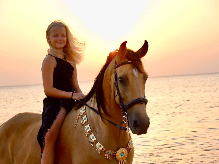 Makadi Bay: Horse Riding in Desert & Sea w Guide + Transfers - What the $35 price really covers