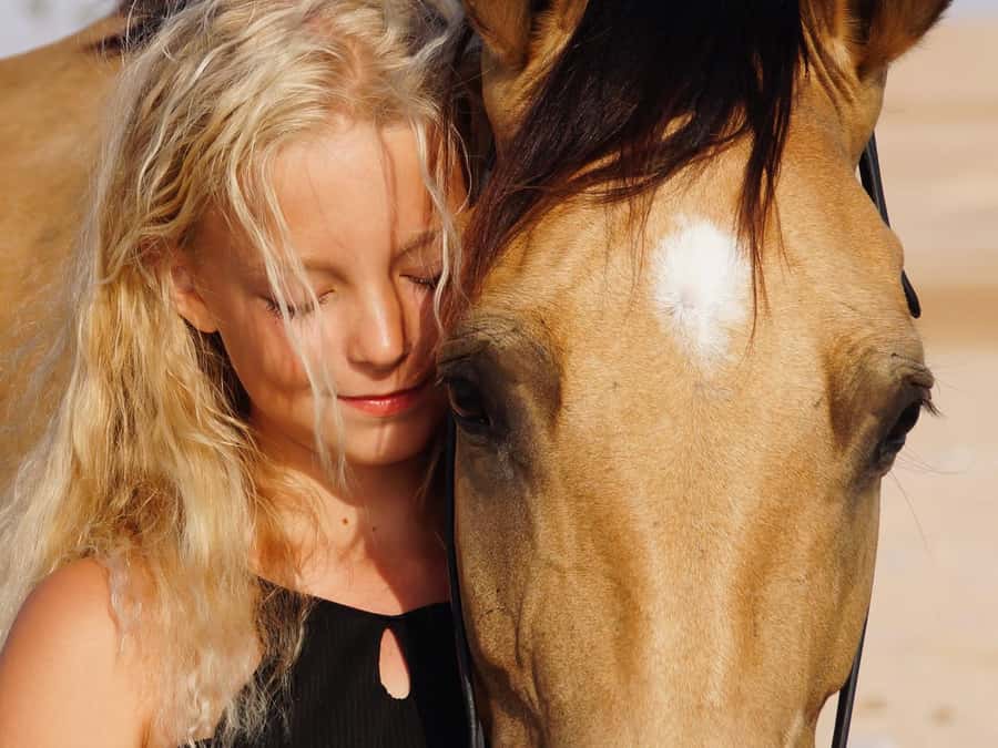 Makadi Bay: Horse Riding in Desert & Sea w Guide + Transfers - Practical preparation for a better ride