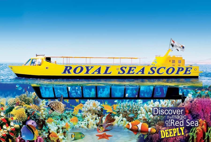 Makadi Bay: Royal Seascope Submarine Cruise & Snorkel stop - What the Royal Seascope trip is really like