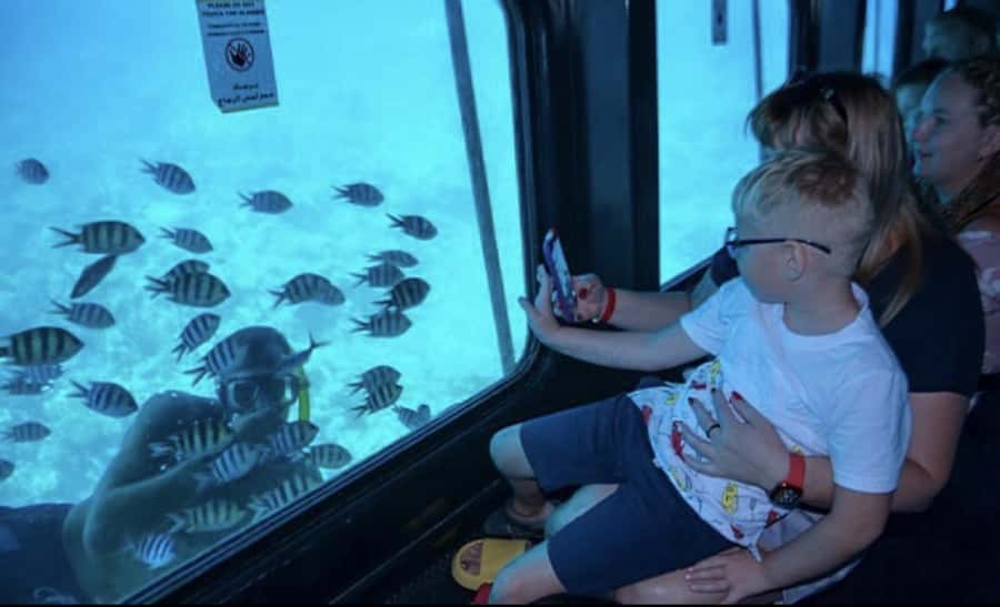 Makadi Bay: Royal Seascope Submarine Cruise & Snorkel stop - How much value do you get for $19?