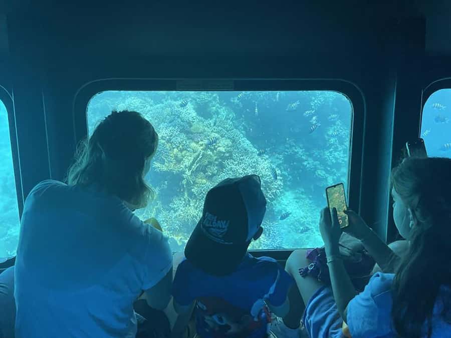 Makadi Bay: Royal Seascope Submarine Cruise & Snorkel stop - The 15 to 25 minute cruise out to the reef
