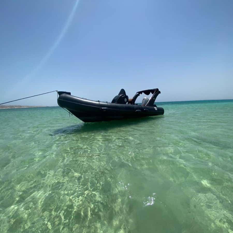 Makadi: Giftun Island Speedboat Cruise to Orange Bay & Lunch - Lunch choices: included sandwich or island meal