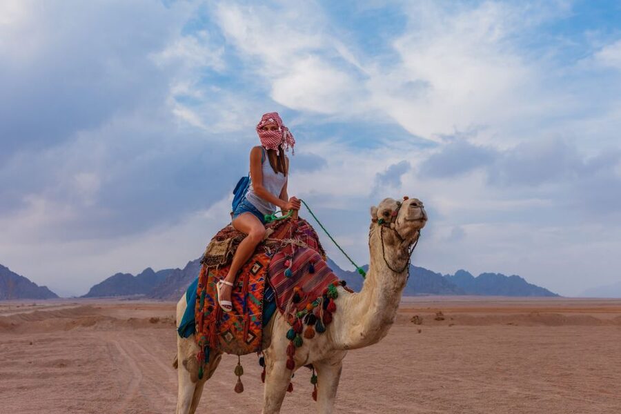 Marsa Alam Bedouin Nights: Jeep Safari, Dinner & Stargazing - Simple ways to make the night better