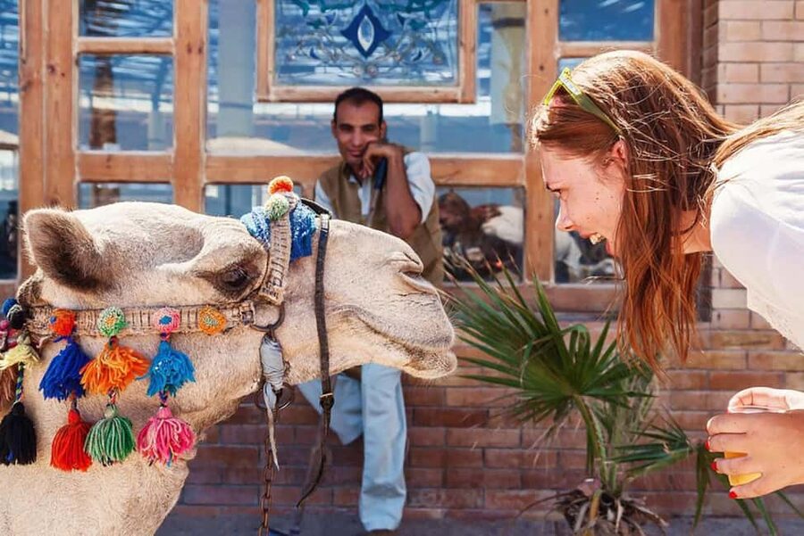Marsa Alam Bedouin Nights: Jeep Safari, Dinner & Stargazing - BBQ dinner under the stars