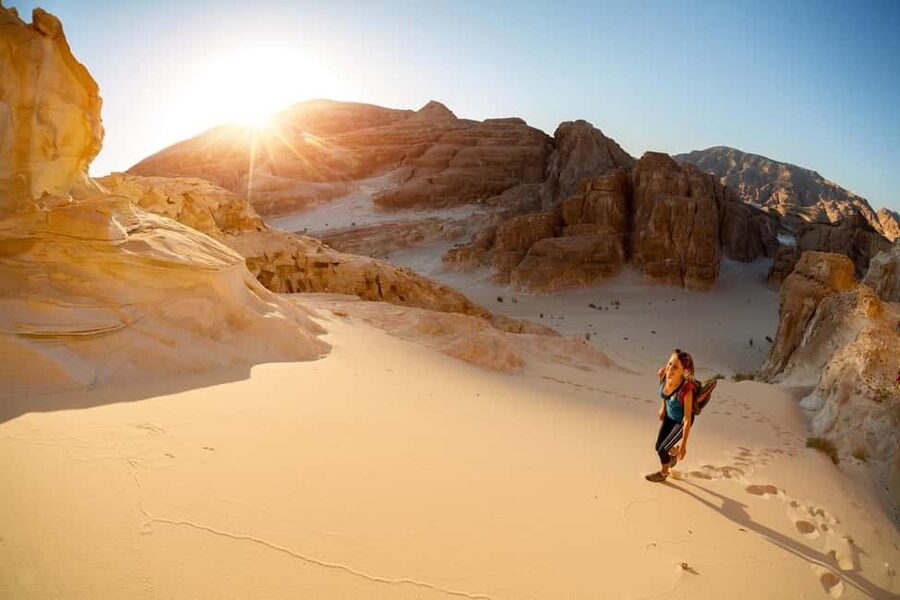 Marsa Alam Bedouin Nights: Jeep Safari, Dinner & Stargazing - What the $76 price really covers
