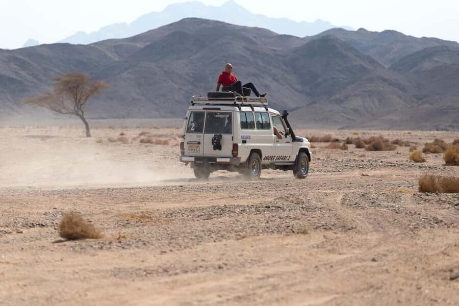 Marsa Alam Bedouin Nights: Jeep Safari, Dinner & Stargazing - Who will enjoy this evening most