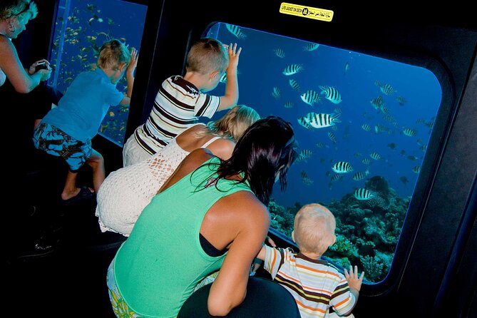Marsa Alam: Royal Seascope Submarine Cruise with Pickup - What the Royal Seascope actually offers