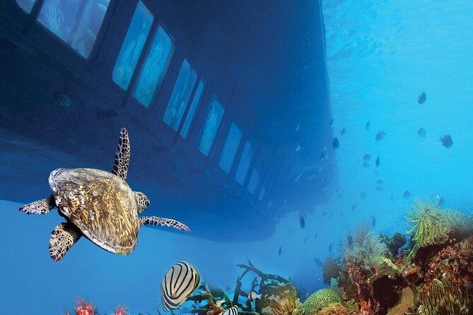 Marsa Alam: Royal Seascope Submarine Cruise with Pickup - From Marsa Alam to Port Ghalib Marina