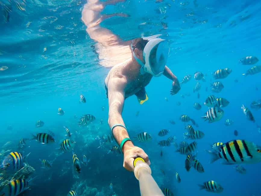 Marsa Alam:Sataya Reefs Dolphin Snorkeling Cruise with Lunch - Key points to know before booking