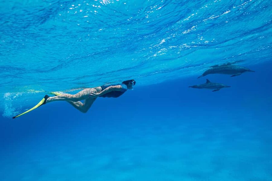 Marsa Alam:Sataya Reefs Dolphin Snorkeling Cruise with Lunch - Why Sataya Reef is worth the long ride
