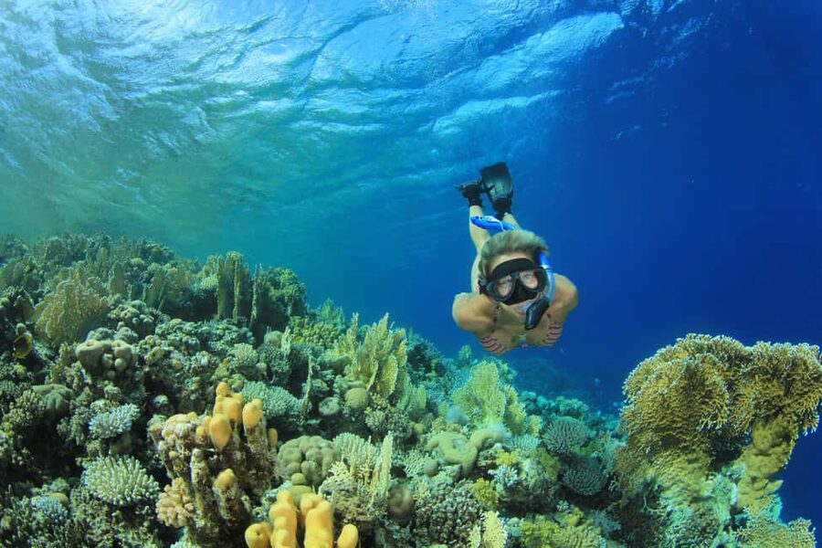 Marsa Alam:Sataya Reefs Dolphin Snorkeling Cruise with Lunch - The boat, seating, and group rhythm