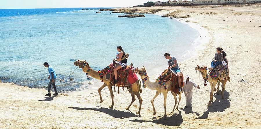 Marsa Alam: Sea and Desert Camel Riding Tour - Two hours between dunes and sea