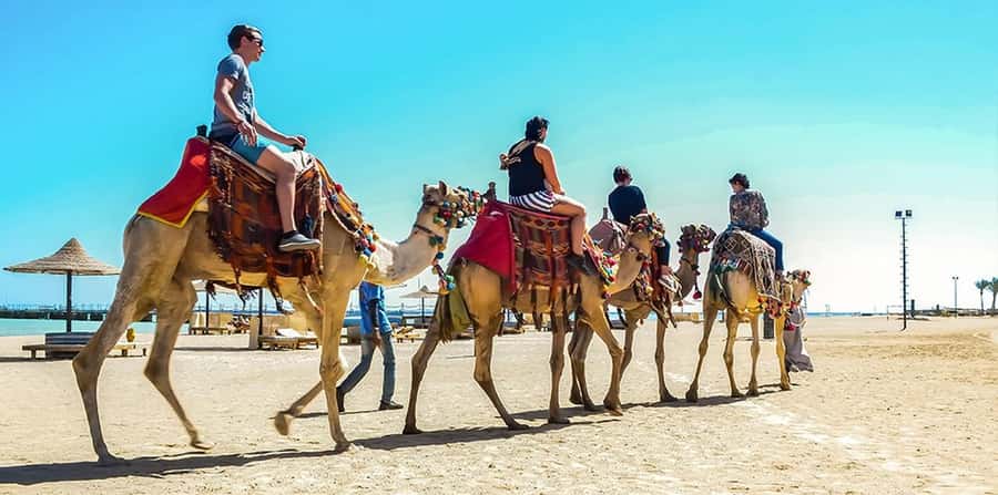 Marsa Alam: Sea and Desert Camel Riding Tour - Choosing between sunrise, midday, and sunset