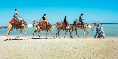Sea and Desert Camel Riding Tour