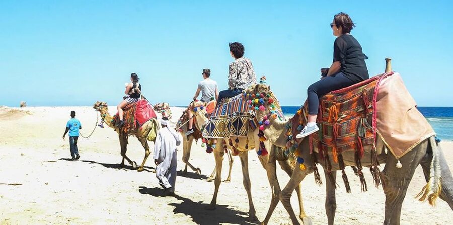 Marsa Alam: Sea and Desert Camel Riding Tour - Is $28 good value?
