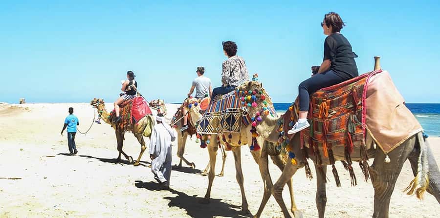 Marsa Alam: Sea and Desert Camel Riding Tour - Who should book this ride?