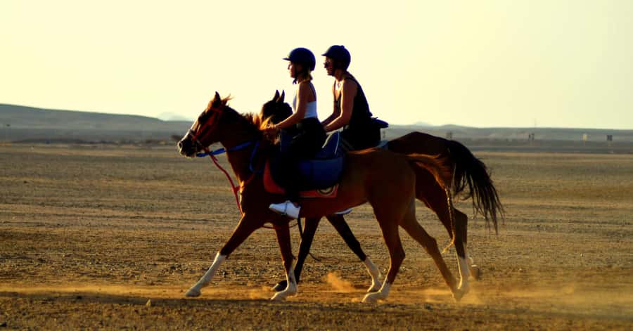 Marsa Alam: Sea and Desert Horse Riding Tour - Key points before you book