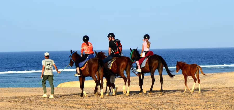 Marsa Alam: Sea and Desert Horse Riding Tour - A practical way to plan your day