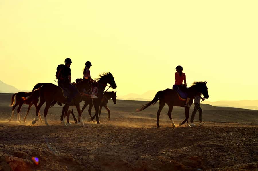 Marsa Alam: Sea and Desert Horse Riding Tour - From Marsa Alam’s stable to the Red Sea