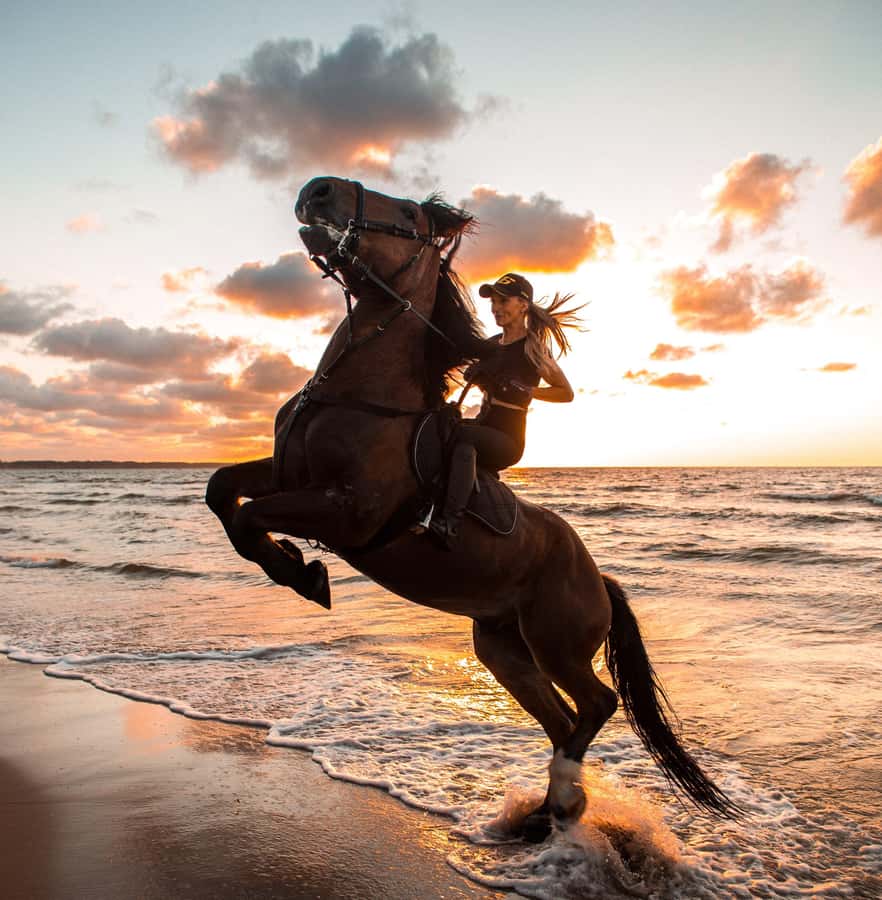 Marsa Alam: Sea and Desert Horse Riding Tour - What changes with the four-hour VIP ride