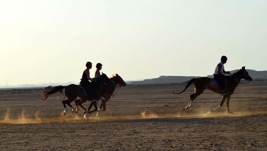 Marsa Alam: Sea and Desert Horse Riding Tour - Sunrise, morning, afternoon, or sunset