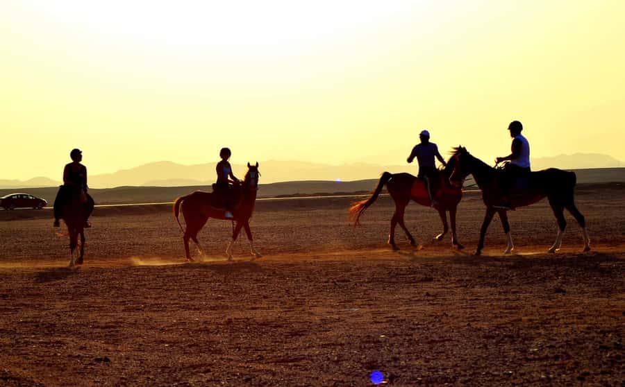 Marsa Alam: Sea and Desert Horse Riding Tour - Choosing your pickup zone