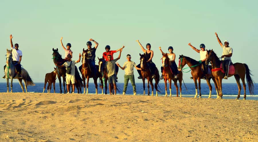 Marsa Alam: Sea and Desert Horse Riding Tour - Is $33 good value?