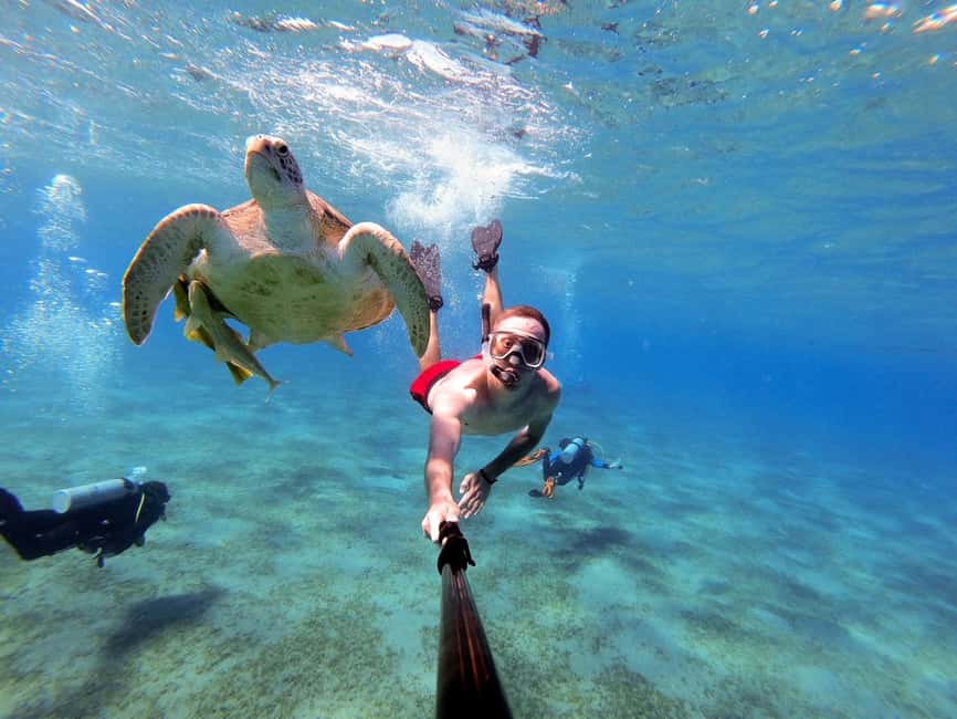 Marsa Alam: Snorkeling with Sea Turtles Marsa Mubarak - First look beneath the surface