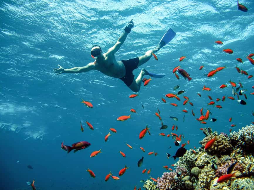 Marsa Alam: Snorkeling with Sea Turtles Marsa Mubarak - The sunset and city option