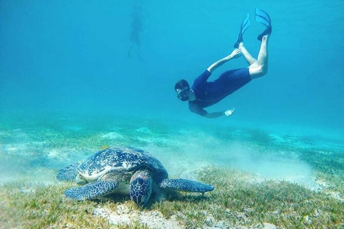 Marsa Mubarak snorkeling with dugong and turtles - marsaalam - Lunch on board and time to reset