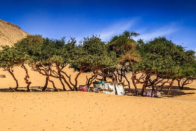 Nubian Village by Motorboat In Aswan - The crocodile house and Nubian traditions