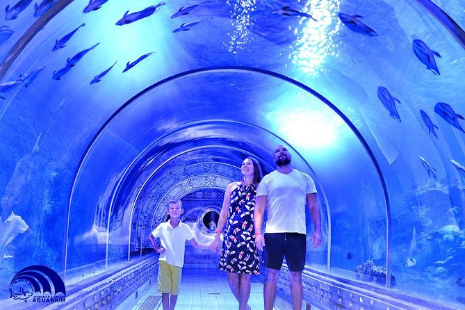 Official Account: Hurghada Grand Aquarium Entrance Tickets - Getting There From Hurghada