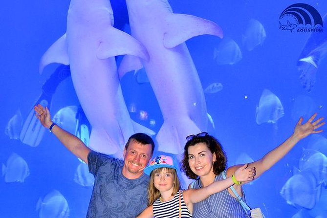 Official Account: Hurghada Grand Aquarium Entrance Tickets - Cleanliness and Animal Welfare: The Important Caveat