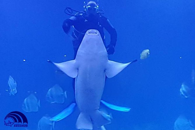 Official Account: Hurghada Grand Aquarium Entrance Tickets - The 24 Galleries and Red Sea Displays