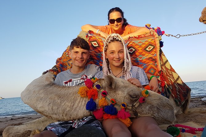 One hour Camel Ride At Amazing Desert With Transfer - Hurghada - Beach riding and the best photo moments