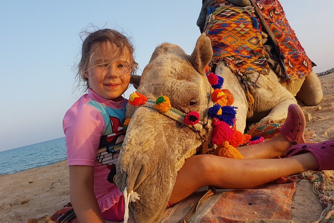 One hour Camel Ride At Amazing Desert With Transfer - Hurghada - The guides and the human side of the outing