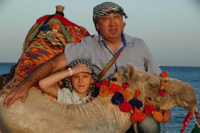 One hour Camel Ride At Amazing Desert With Transfer - Hurghada - Animal care and what to observe