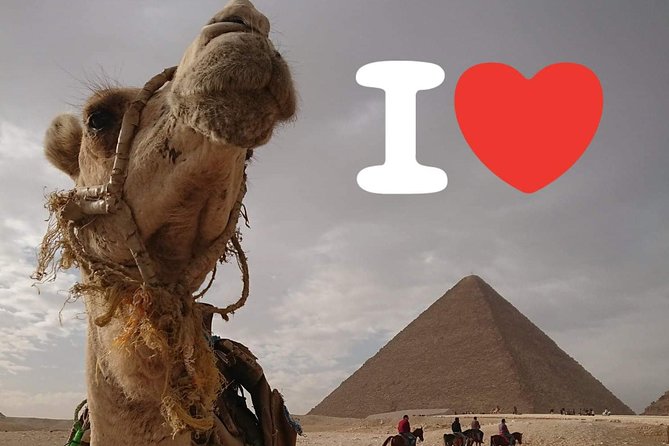 One Package Camel Ride with Giza Pyramids and Egyptian Museum Tour in Cairo - The Egyptian Museum and King Tutankhamun’s treasures